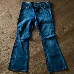 AE bootcut jeans